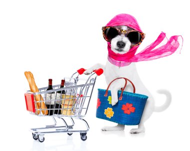 alışveriş diva köpek
