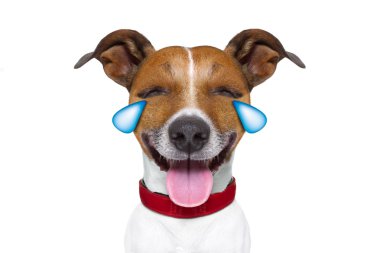 ifade ya da Emoji aptal ağlayan gülen köpek 