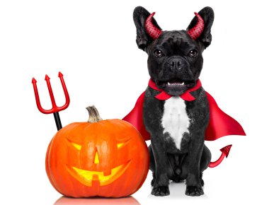 Cadılar Bayramı köpek afiş