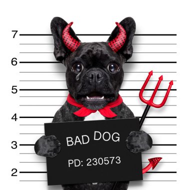 Cadılar Bayramı mugshot köpek