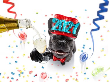 Fransız bulldog köpeği yeni yıl arifesini sahibine ve yılbaşı şeritlerine izole edilmiş şampanya bardağıyla kutluyor.
