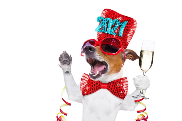 在新年前夕 狗用香槟酒庆祝新年 香槟酒被白色背景隔离在横幅或标语牌 和平与胜利的手指旁边 — 图库照片