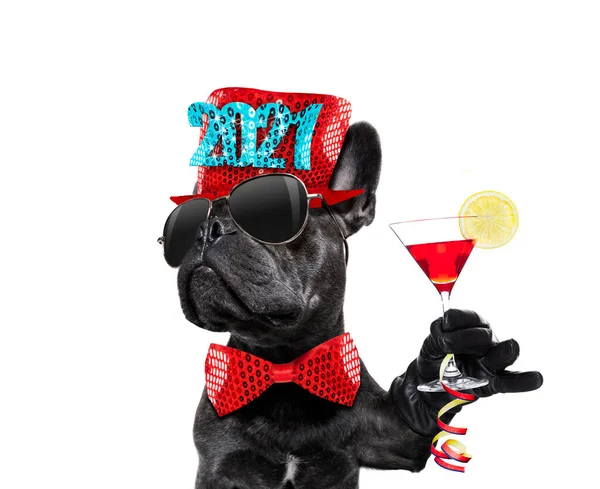 Dog Celebrating New Years Eve Champagne Isolated White Background Banner — Stock Photo, Image
