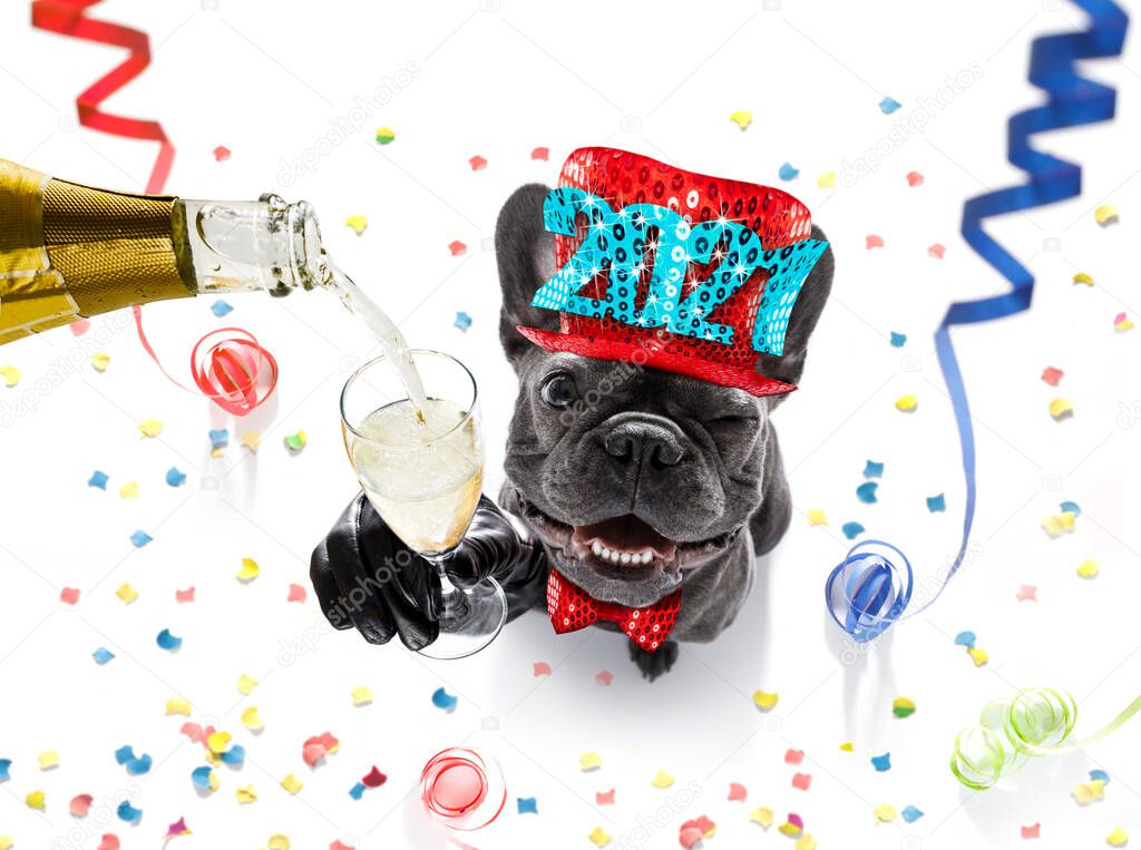 french bulldog dog celebrating new years eve with owner and champagne  glass isolated on serpentine streamers and confetti