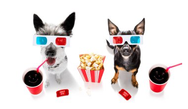 Köpek, beyaz arka plan ve 3 boyutlu camlarla izole edilmiş gazoz, gözlük, patlamış mısır ve biletle sinemaya gidiyor.