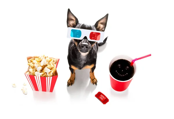 Σκύλος Πηγαίνει Στον Κινηματογράφο Σόδα Και Ποτήρια Και Ποπ Κορν — Φωτογραφία Αρχείου