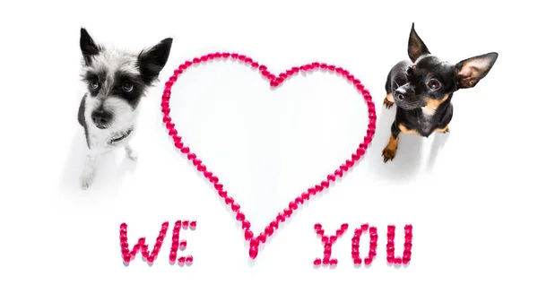 Groep Rij Team Van Honden Valentijnskaarten Liefde Hart Vorm Met — Stockfoto