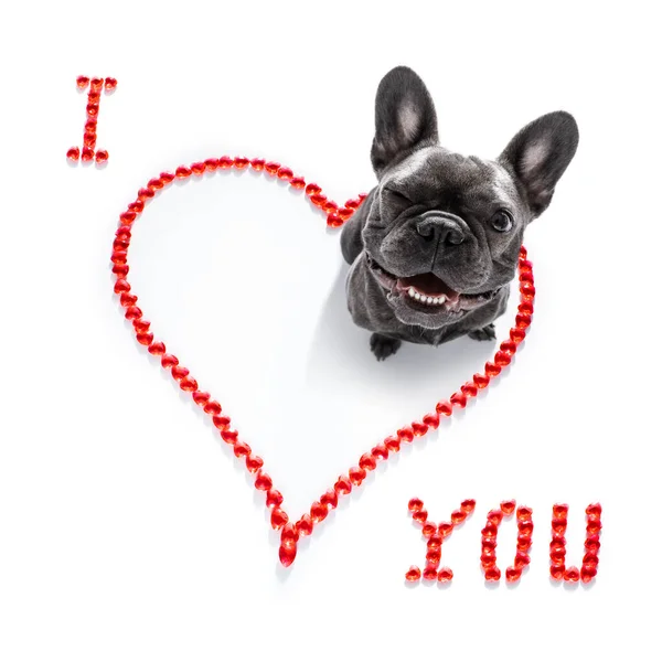 Franse Bulldog Hond Valentijnskaarten Liefde Hart Vorm Met Hou Van — Stockfoto