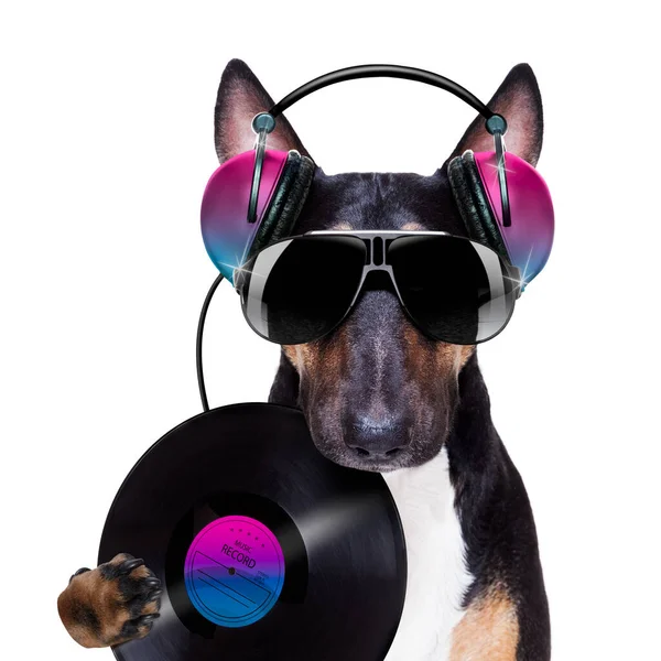 Bulteriér Pes Hraje Hudbu Klubu Diskotékou Izolované Bílém Pozadí Vinylovou — Stock fotografie