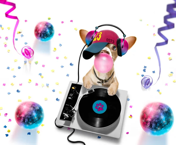 Fransk Bulldog Spelar Musik Klubb Med Discoboll Isolerad Vit Bakgrund — Stockfoto