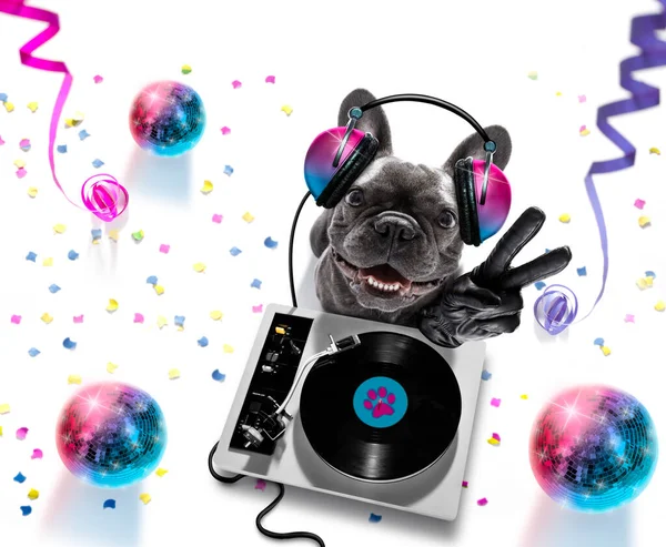 Franse Bulldog Speelt Muziek Een Club Met Discobal Geïsoleerd Witte — Stockfoto