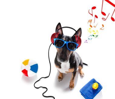 Dj bull terrier köpeği müzik çalıyor ve yaz tatiline hazır beyaz arka planda izole edilmiş