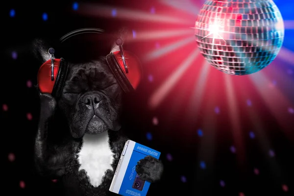 Fresco Bulldog Francés Escuchar Cantar Música Con Auriculares Reproductor Mp3 Fotos de stock libres de derechos