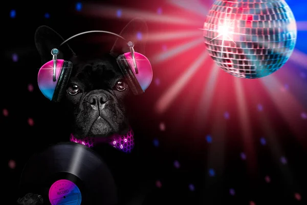 酷酷的Dj法国斗牛犬用耳机和Mp3播放器在漆黑的黑色背景下听着或唱着音乐 — 图库照片