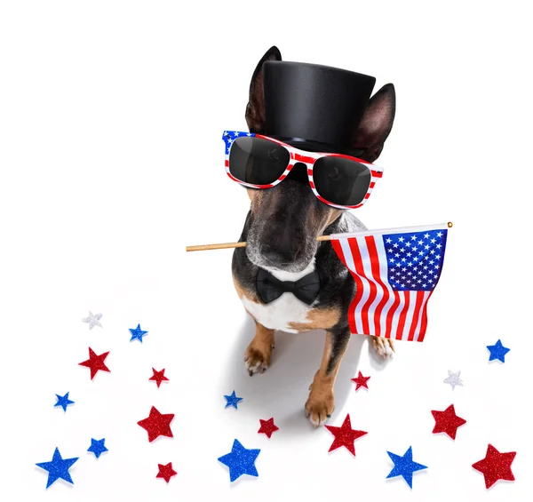 Bull Terrier Waving Flag Usa Victory Peace Fingers Independence Day — Stock Photo, Image