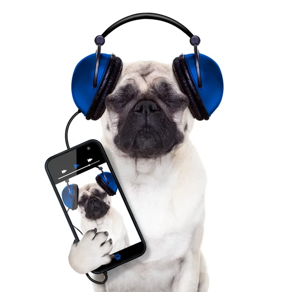 Hund musik — Stockfoto