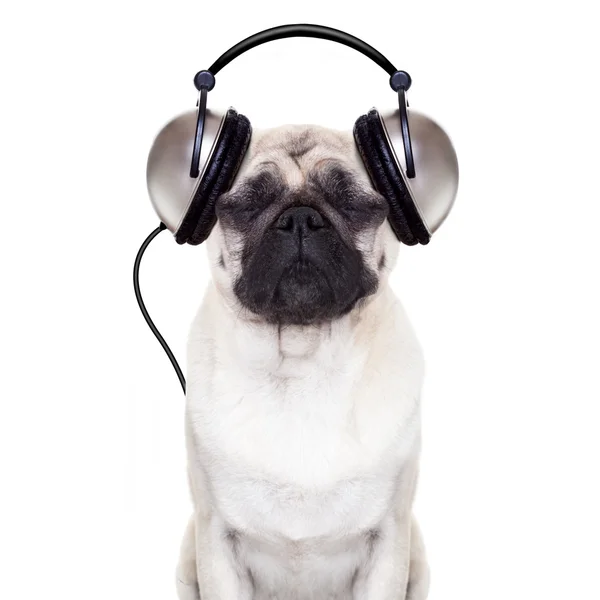 Dog music — Stock Photo © damedeeso 77888152