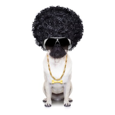 ganster köpek