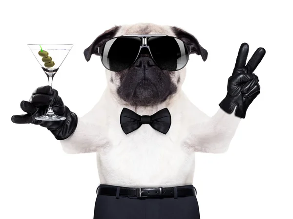 Cool dog peace — Stock Photo, Image