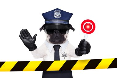 Polis Köpeği
