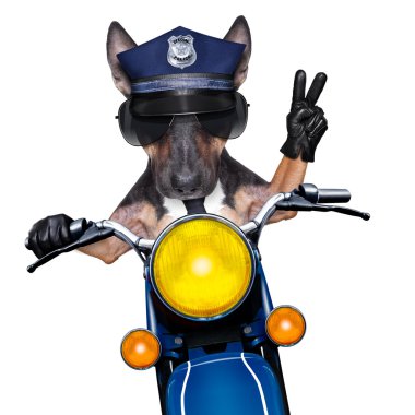 Polis köpeği motosiklet