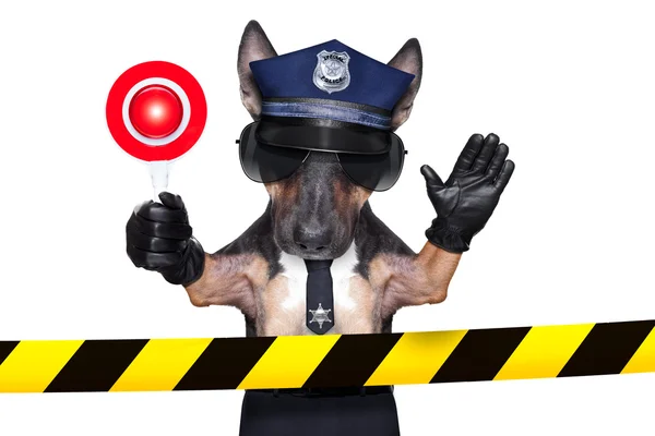 Собака полиции — стоковое фото