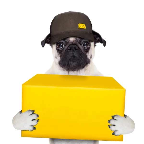 Dog delivery post — Stock Photo, Image