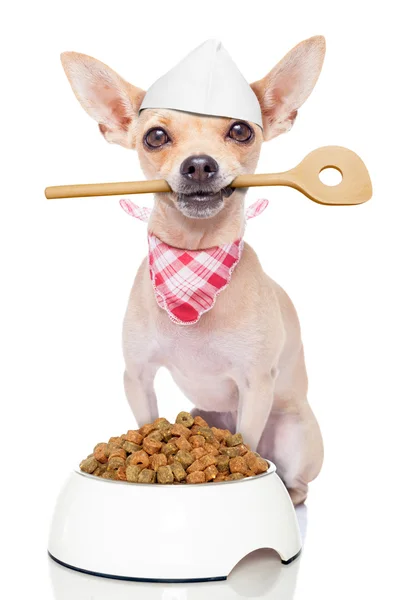Голодний шеф кухар собака — стокове фото