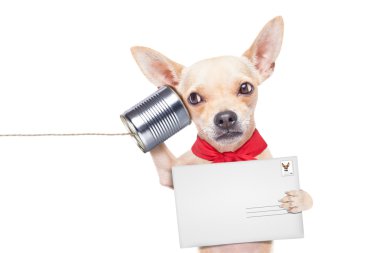 köpek telefon