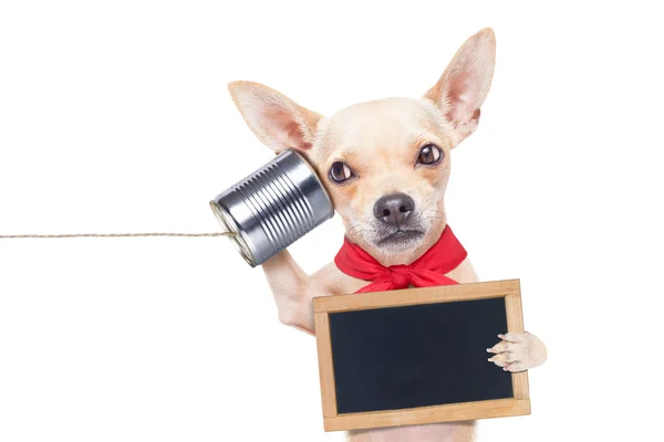 Köpek telefon — Stok fotoğraf