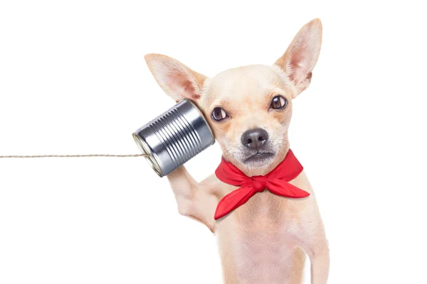 Perro en el teléfono — Foto de Stock