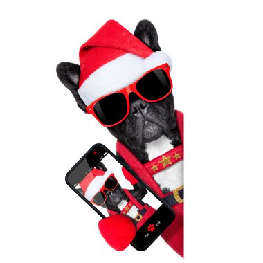 Santa selfie köpek