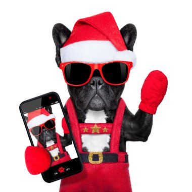 Santa selfie köpek