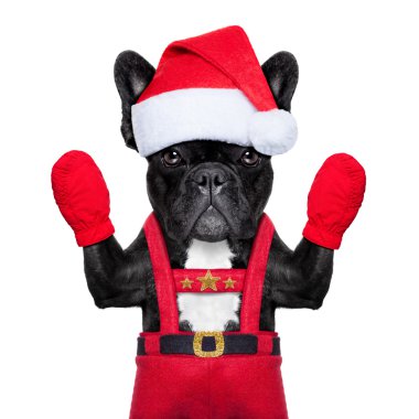 Santa selfie köpek