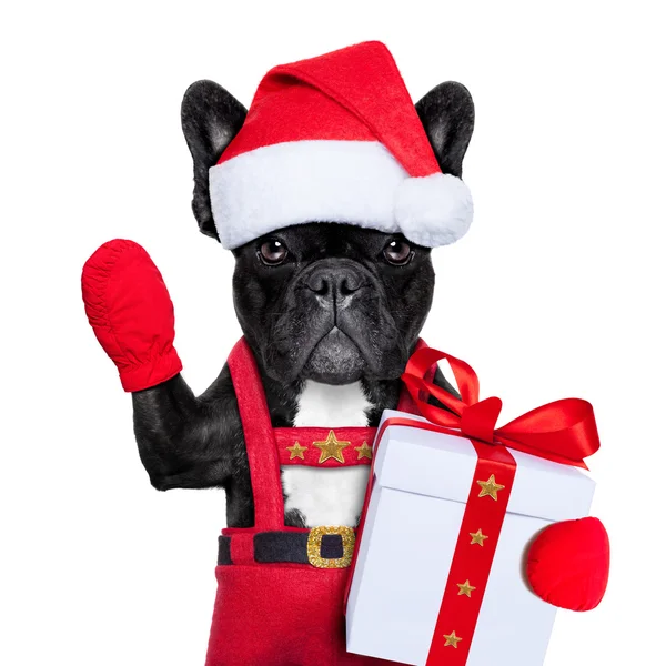 Santa perro —  Fotos de Stock