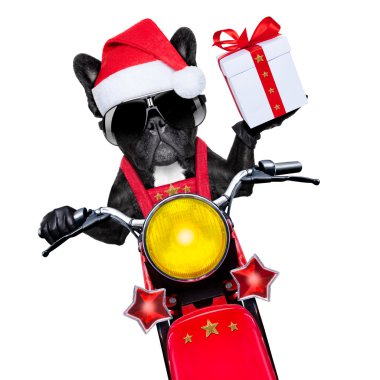 Noel Köpeği