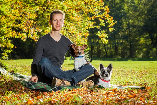 Hunde und Besitzer — Stockfoto