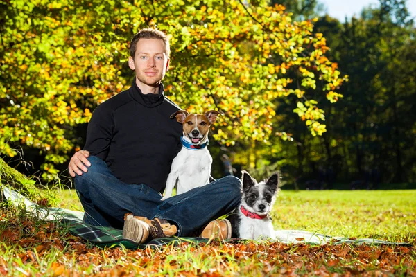 Dogs and owner — Stock Photo, Image