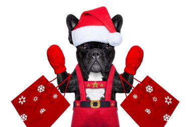 Santa selfie köpek