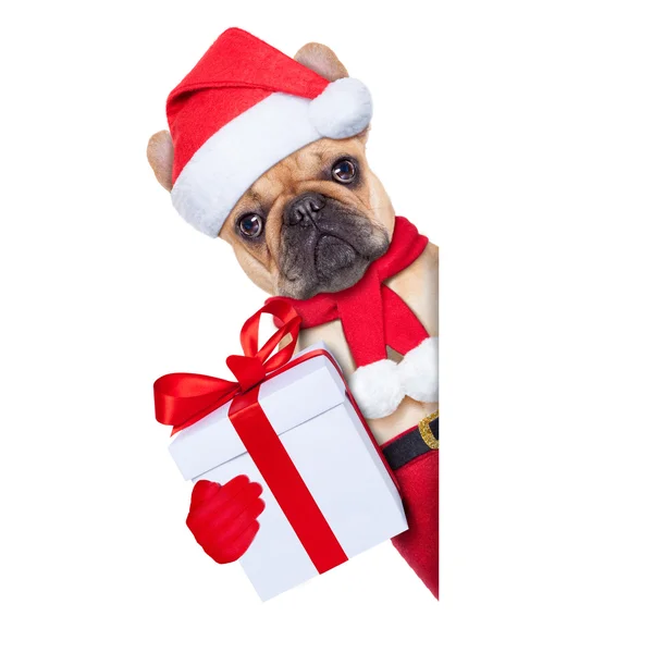 Santa calus hond — Stockfoto