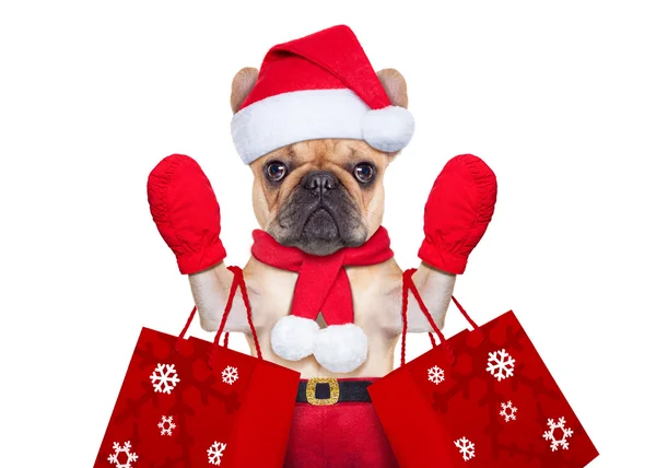Christmas dog shopping — Stock Image Christmas dog shopping Stock Picture