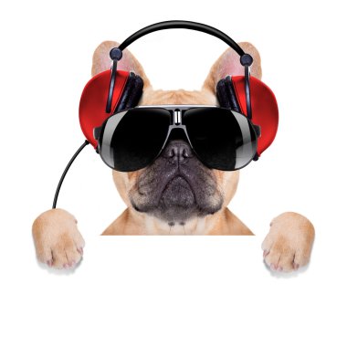 DJ disko köpek