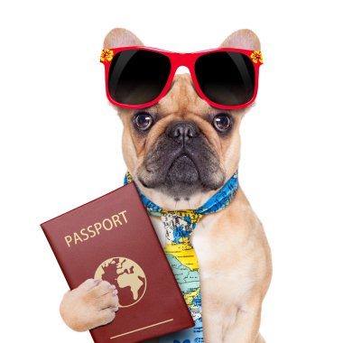 köpek pasaportu
