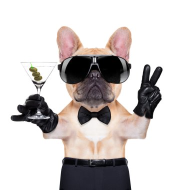 serin parti köpek