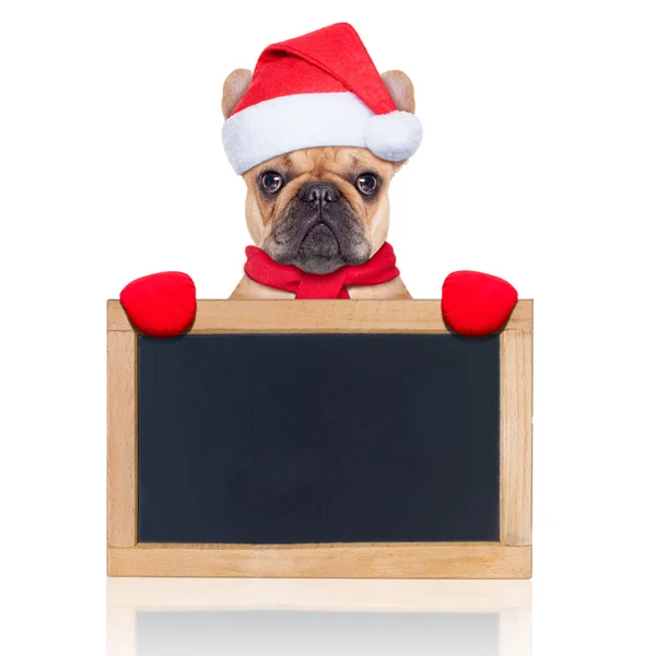 Santa claus hond — Stockfoto