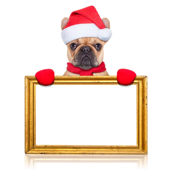 Cane di Babbo Natale — Foto Stock