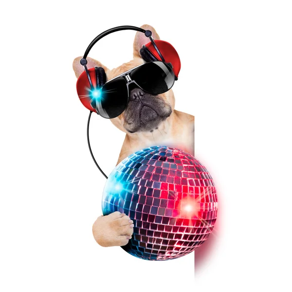 DJ disco hund — Stockfoto