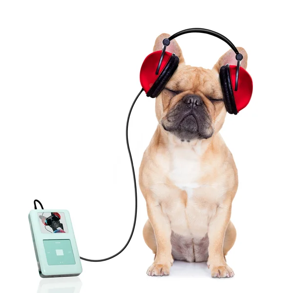 Dog music — Stock Photo, Image