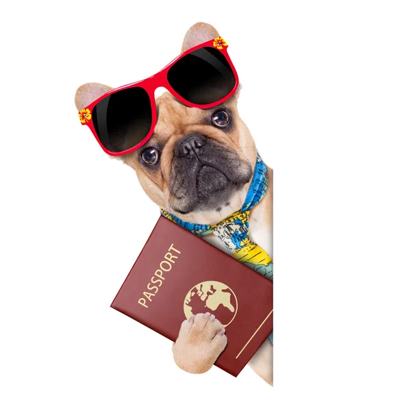 Pet passport — Stock Photo, Image