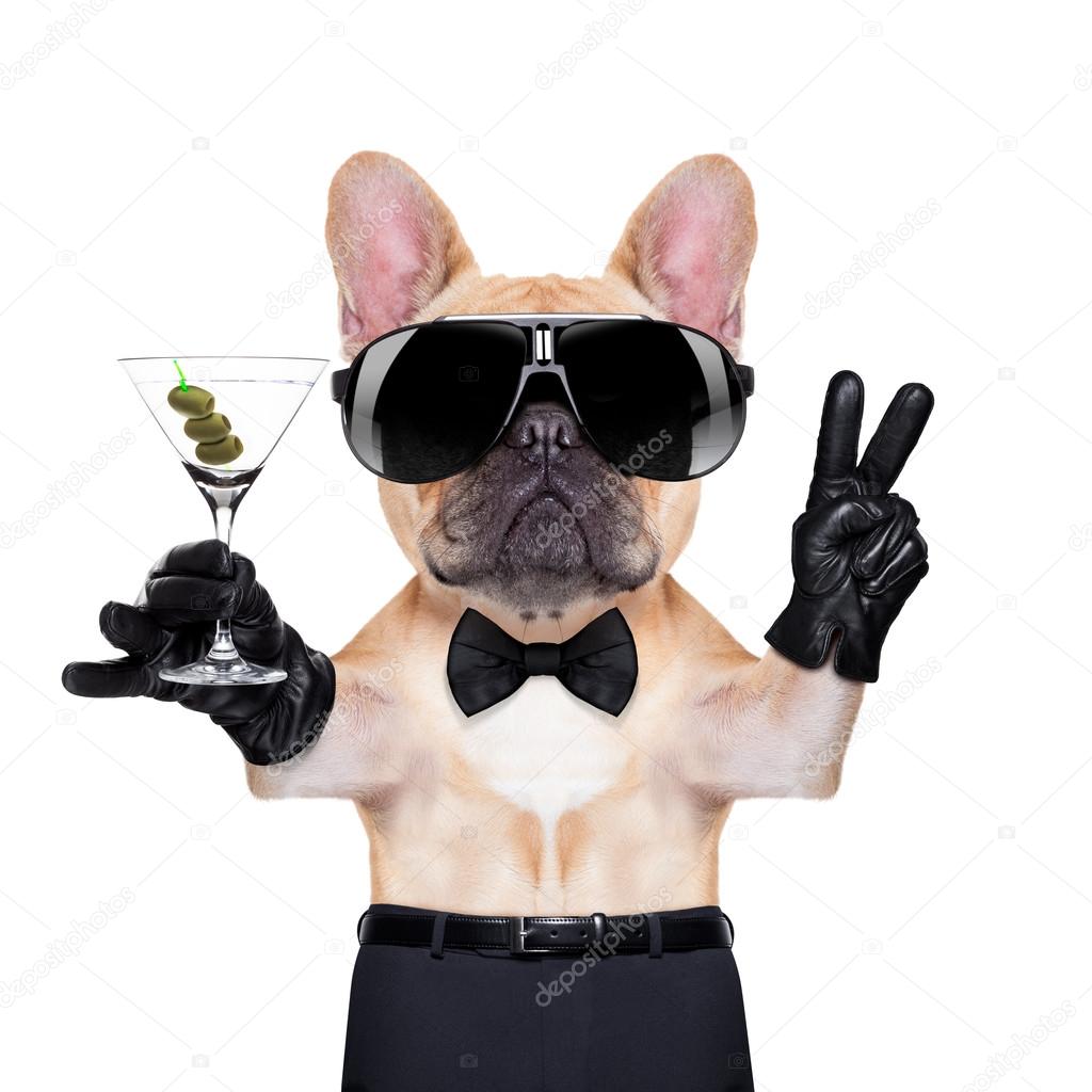 cool party dog